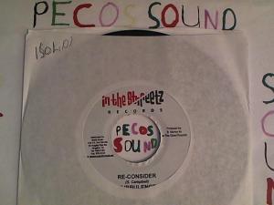 Hud-2 vinyl photos 4188