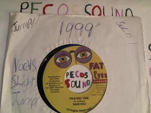 Hud-2 vinyl photos 4190