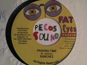 Hud-2 vinyl photos 4191