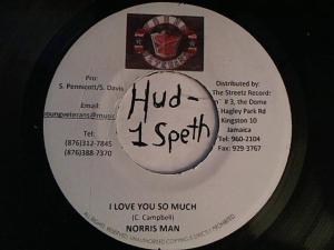 Hud-2 vinyl photos 4199