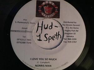 Hud-2 vinyl photos 4200