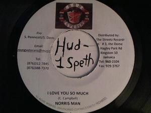 Hud-2 vinyl photos 4203