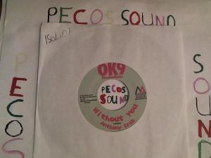 Hud-2 vinyl photos 4204