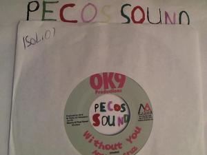 Hud-2 vinyl photos 4205