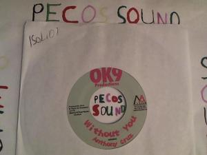 Hud-2 vinyl photos 4206