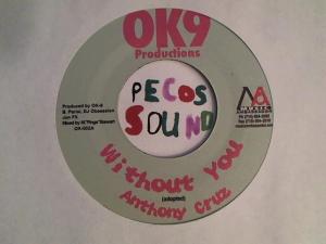 Hud-2 vinyl photos 4207