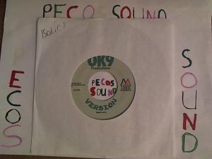 Hud-2 vinyl photos 4208