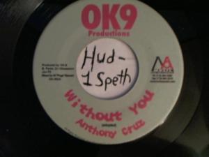 Hud-2 vinyl photos 4212