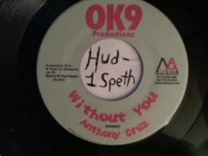 Hud-2 vinyl photos 4213