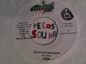 Hud-2 vinyl photos 4224