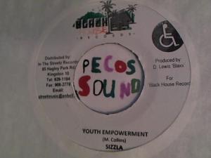 Hud-2 vinyl photos 4225