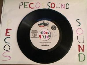 Hud-2 vinyl photos 4226