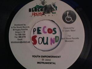 Hud-2 vinyl photos 4227