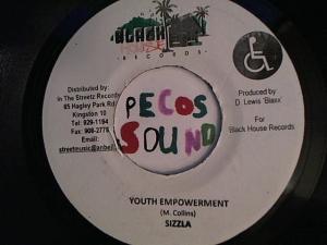 Hud-2 vinyl photos 4228