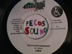 Hud-2 vinyl photos 4229