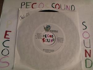 Hud-2 vinyl photos 4230