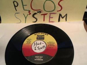 Hud-2 vinyl photos 427