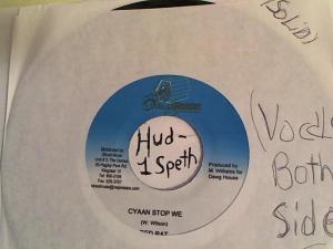 Hud-2 vinyl photos 433