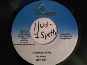 Hud-2 vinyl photos 439