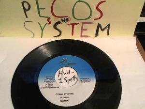 Hud-2 vinyl photos 442