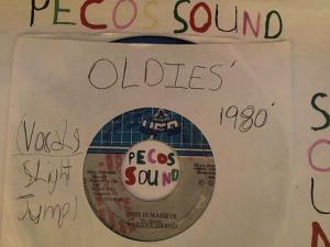 Hud-2 vinyl photos 4454