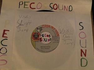 Hud-2 vinyl photos 4477