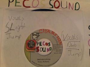 Hud-2 vinyl photos 4480