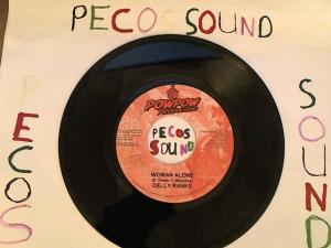 Hud-2 vinyl photos 4493