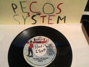 Hud-2 vinyl photos 450