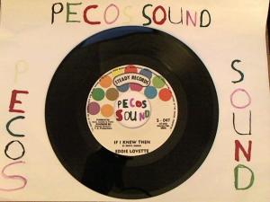 Hud-2 vinyl photos 4516