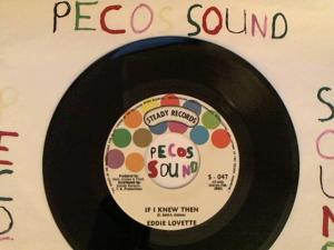 Hud-2 vinyl photos 4517