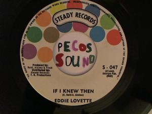 Hud-2 vinyl photos 4519