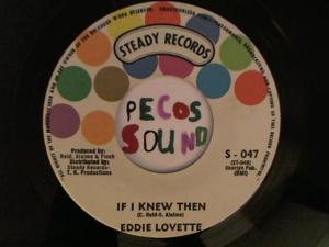 Hud-2 vinyl photos 4524