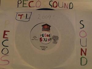 Hud-2 vinyl photos 4535