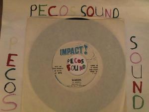 Hud-2 vinyl photos 4556