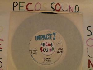 Hud-2 vinyl photos 4557