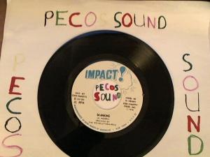 Hud-2 vinyl photos 4561