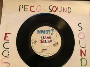 Hud-2 vinyl photos 4562