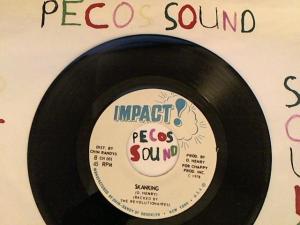 Hud-2 vinyl photos 4563