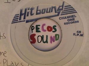 Hud-2 vinyl photos 4600