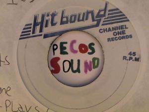 Hud-2 vinyl photos 4601