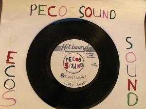 Hud-2 vinyl photos 4602