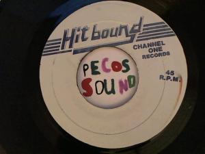 Hud-2 vinyl photos 4612