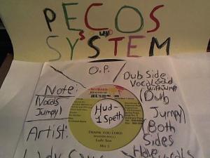 Hud-2 vinyl photos 476