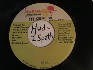 Hud-2 vinyl photos 480