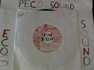 Hud-2 vinyl photos 4839