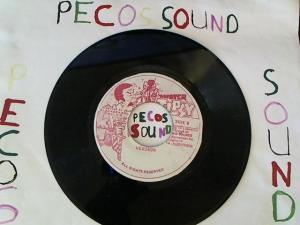 Hud-2 vinyl photos 4847