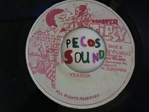 Hud-2 vinyl photos 4849