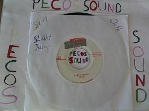 Hud-2 vinyl photos 4873