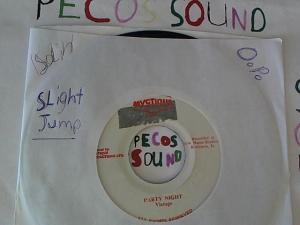 Hud-2 vinyl photos 4875